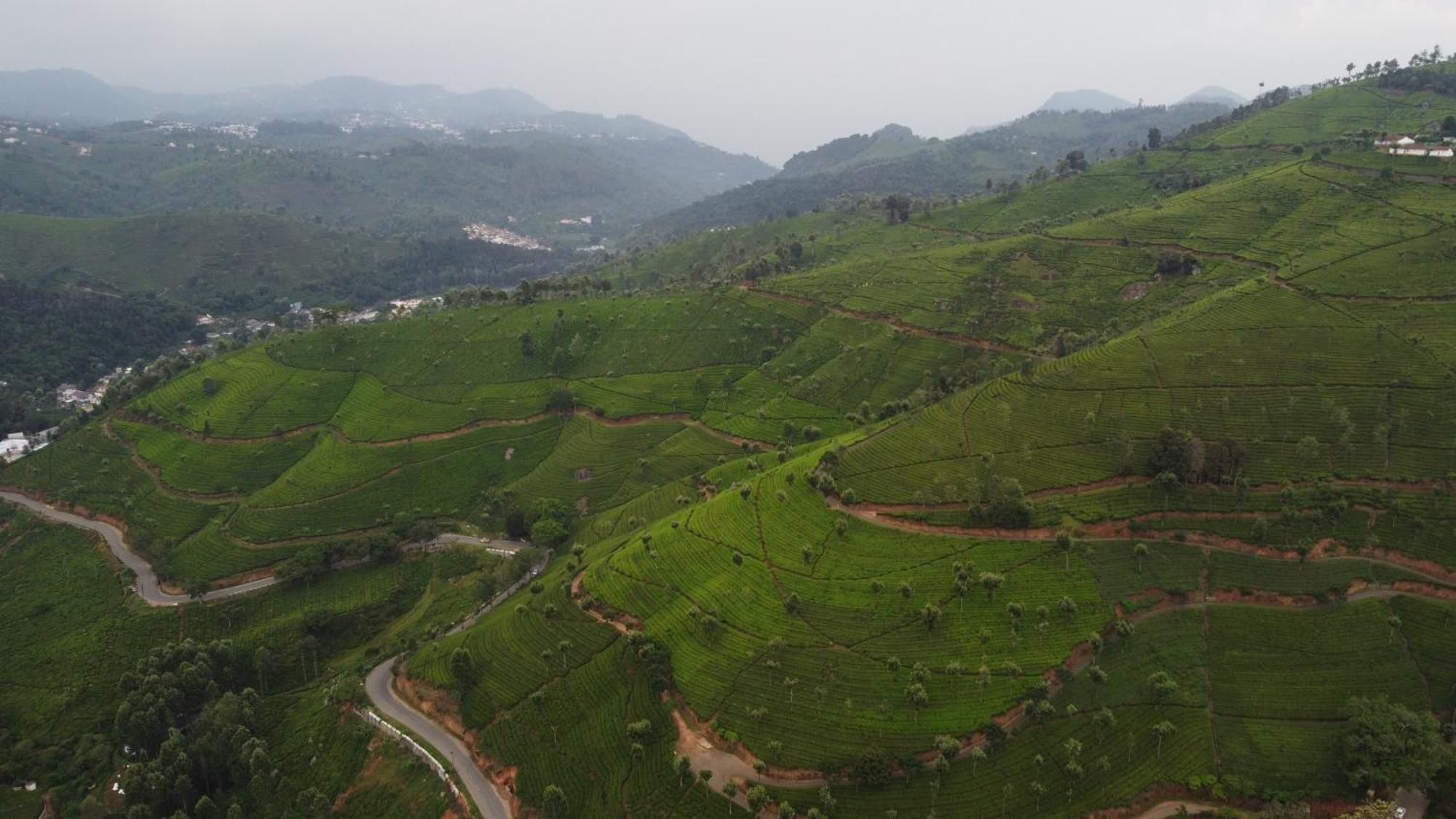 Casa De Selas Coonoor Dış mekan fotoğraf