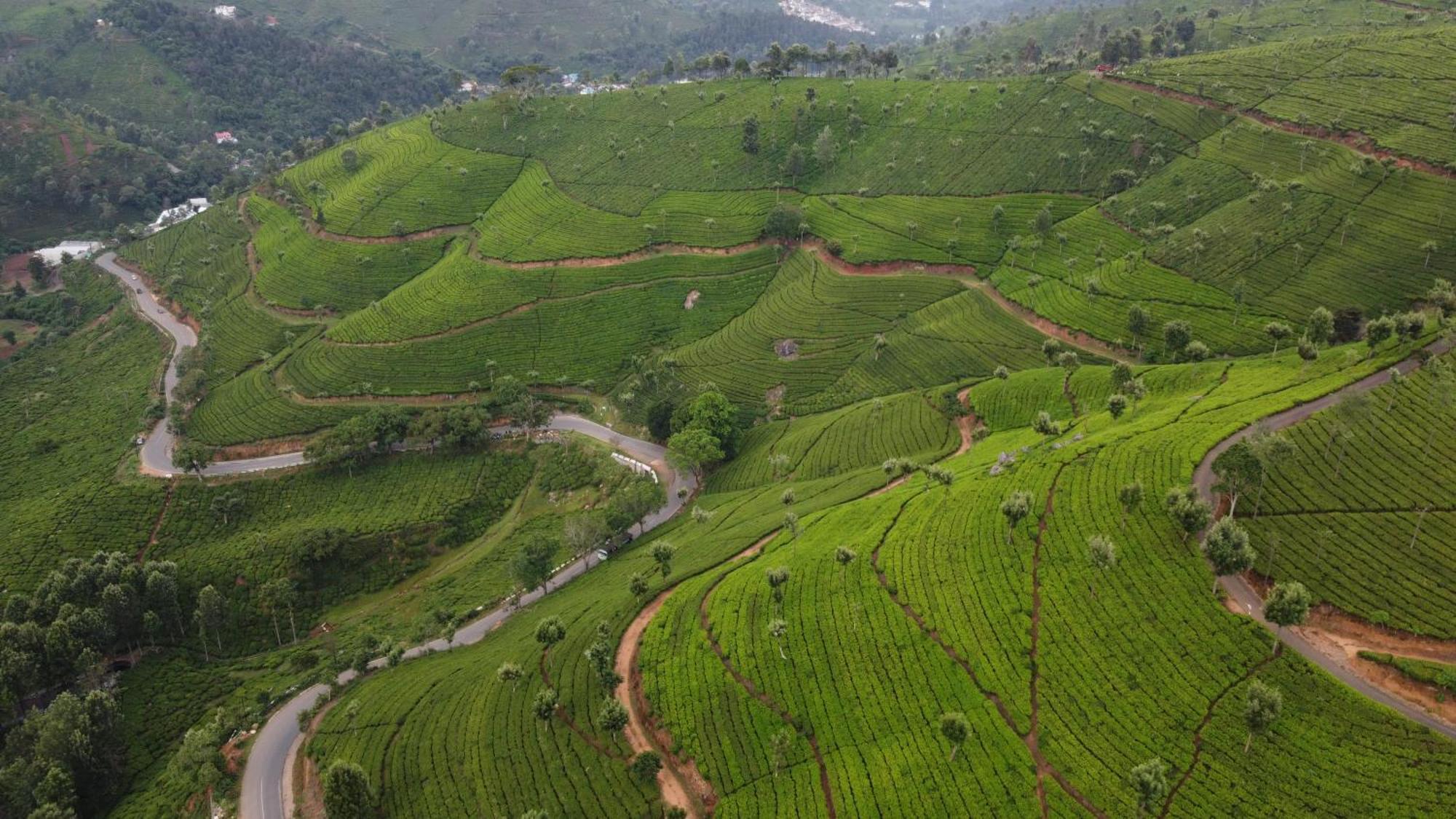 Casa De Selas Coonoor Dış mekan fotoğraf